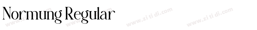 Normung Regular字体转换 Normung Regular字体转换